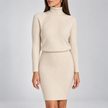 Mariella Ribbed Turtleneck Sweater Dress