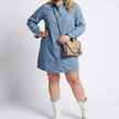 Arianna Button-Front Denim Shirt Dress