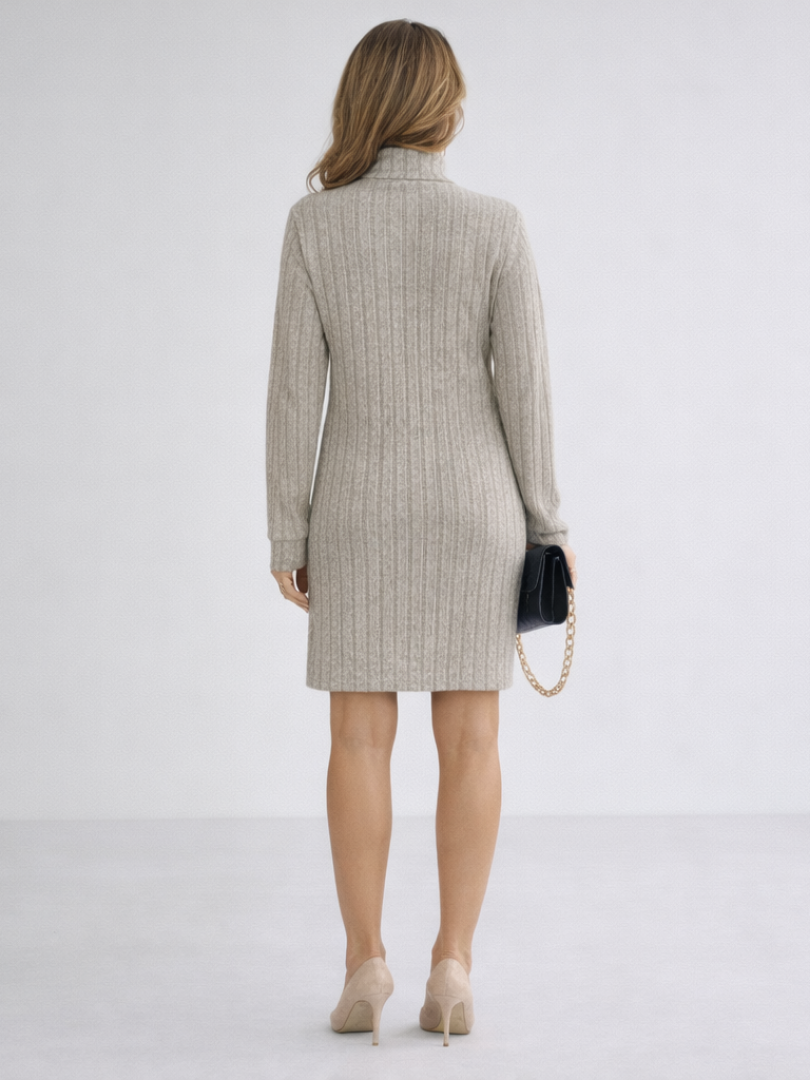 Brigitta Ribbed Knit Turtleneck Dress