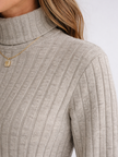 Brigitta Ribbed Knit Turtleneck Dress